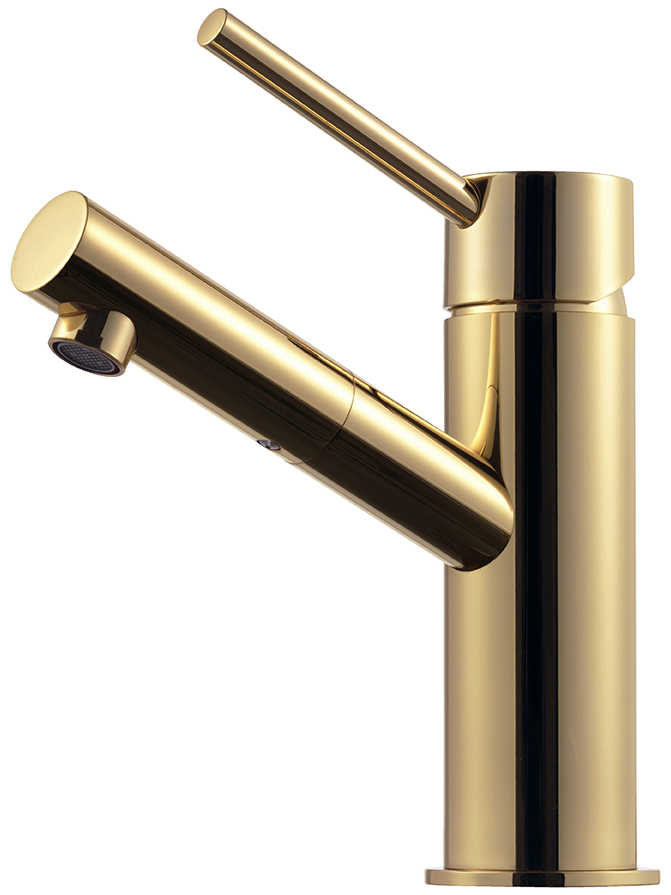 BI071 Polished Brass
